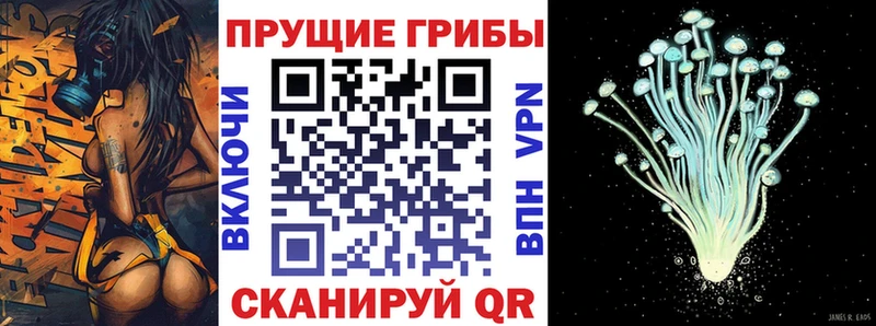 Галлюциногенные грибы Magic Shrooms  Правдинск 